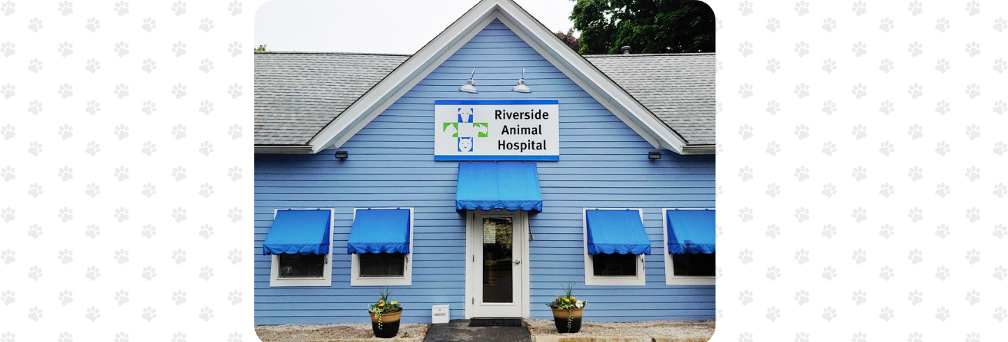 Riverside veterinary hospital