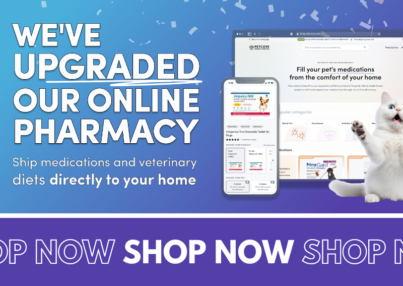 Carousel Slide 2: Online-Pharmacy