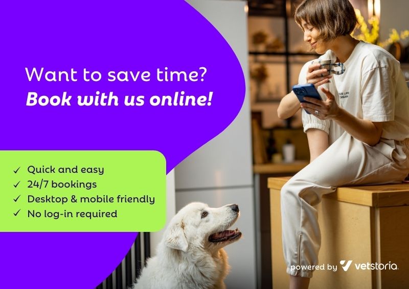 Carousel Slide 6: Online Booking Dog